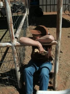 Laura, sitting in the goat pens