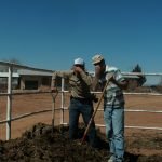 Billy & Terry & Leggy Lady's manure mound