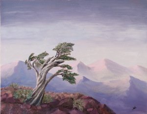 Timberline Tree, Joan Hagen Carleno