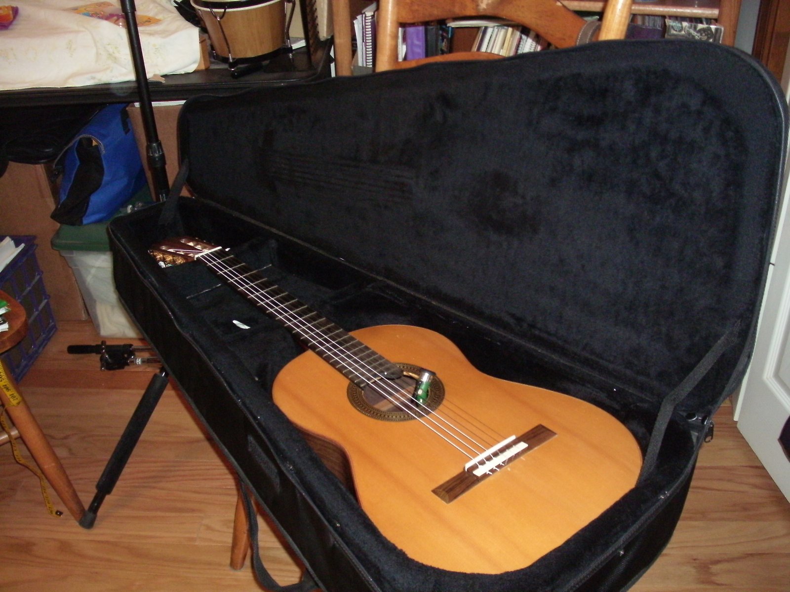 travelite guitar case