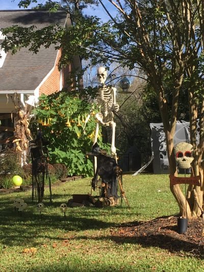 neighbor's huge skeleton