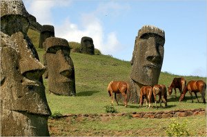 horses on Easter Island